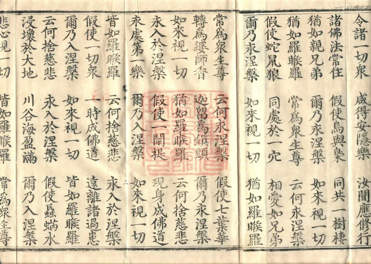 Southern Edition Mahaparinirvana Sūtra (Thirty-six Rolls) Page 5