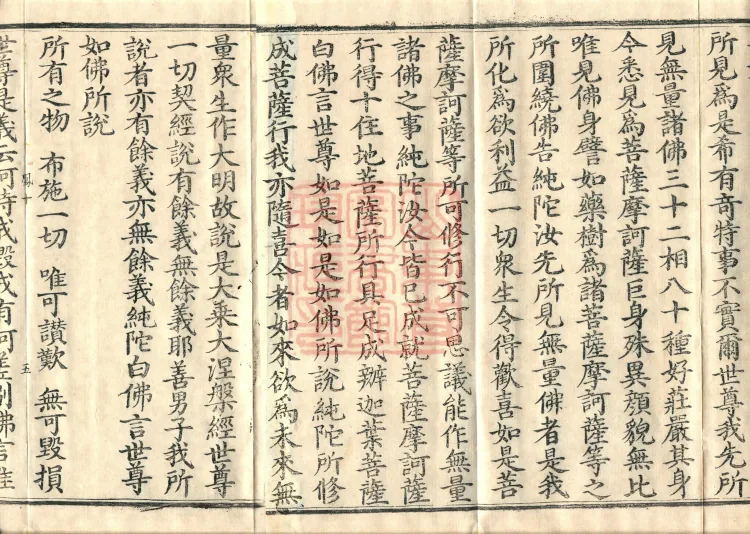 Southern Edition Mahaparinirvana Sūtra (Thirty-six Rolls) Page 8
