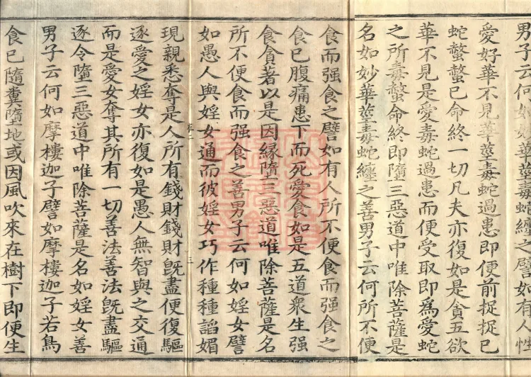 Southern Edition Mahaparinirvana Sūtra (Thirty-six Rolls) Page 5