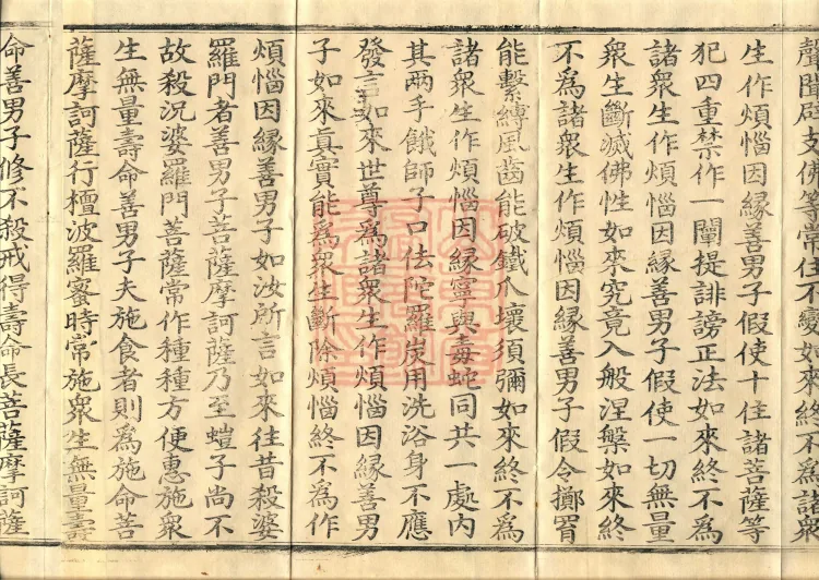 Southern Edition Mahaparinirvana Sūtra (Thirty-six Rolls) Page 6