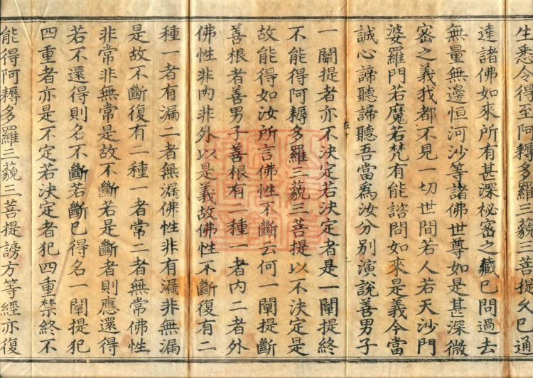 Southern Edition Mahaparinirvana Sūtra (Thirty-six Rolls) Page 4