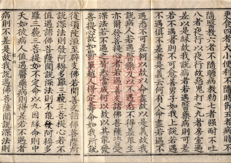 Southern Edition Mahaparinirvana Sūtra (Thirty-six Rolls) Page 8