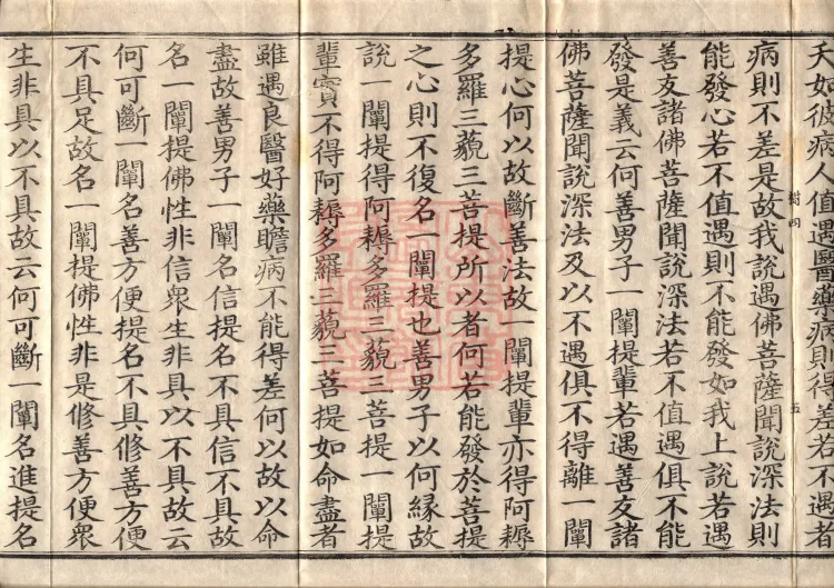 Southern Edition Mahaparinirvana Sūtra (Thirty-six Rolls) Page 9