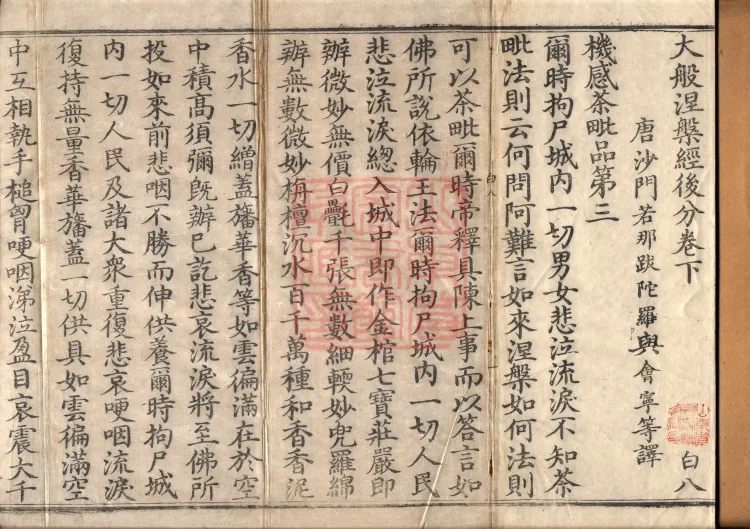 Later Section of the Mahaparinirvana Sūtra (Two Rolls) Page 2