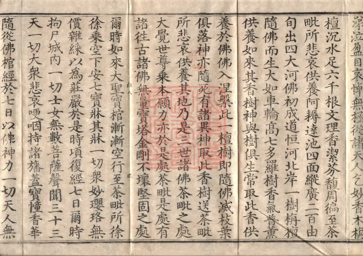 Later Section of the Mahaparinirvana Sūtra (Two Rolls) Page 7
