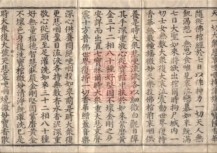 Later Section of the Mahaparinirvana Sūtra (Two Rolls) Page 8