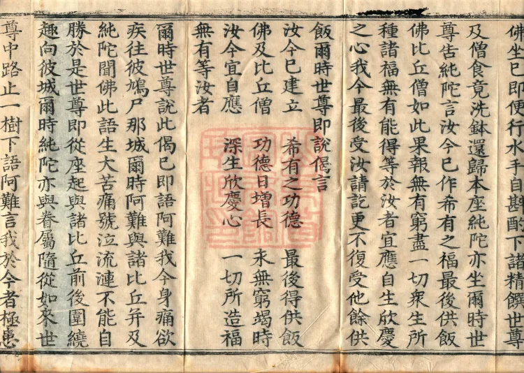 Mahaparinirvana Sutra — Three Volumes Page 6