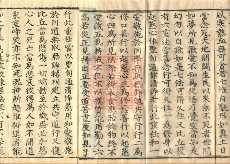 The Buddha's Fangdeng Nirvana Sutra — Two Volumes Page 8