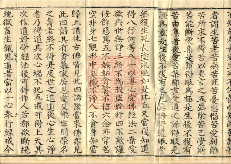 The Buddha's Fangdeng Nirvana Sutra — Two Volumes Page 10