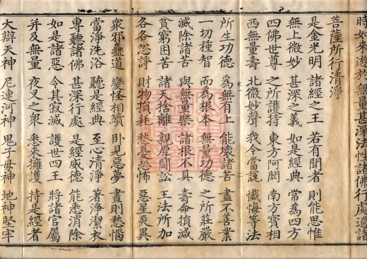 Golden Light Sutra (four volumes) Page 6