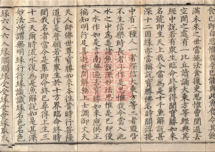Golden Light Sutra (four volumes) Page 6