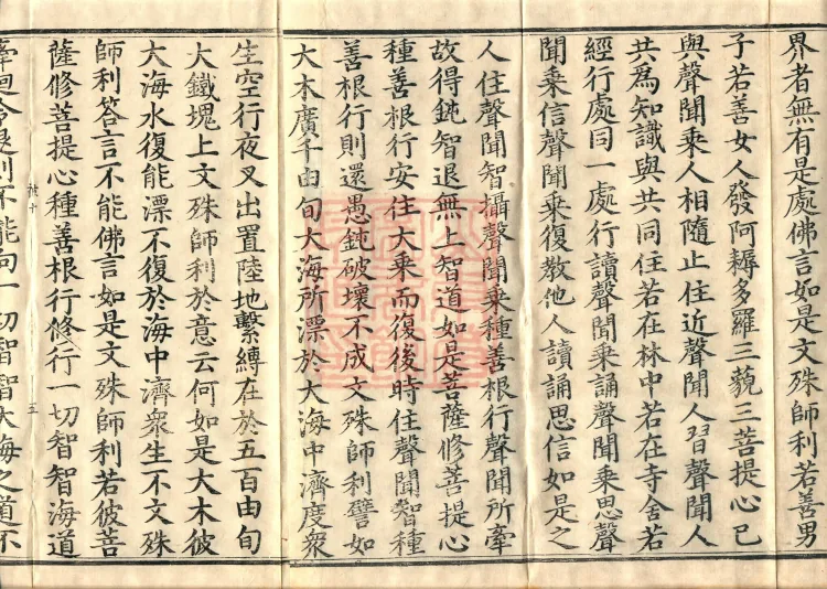 No-Need-to-Settle-in-Meditation and Seal-Entry Sutra (one volume) Page 8