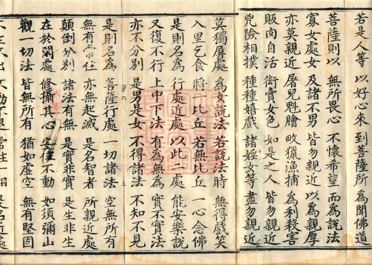 Saddharmapundarika Sutra (Lotus Sutra) (seven volumes) Page 5
