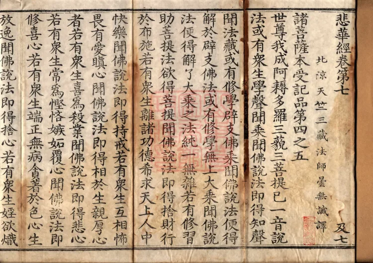 Sutra of the Sorrowful Flower, ten volumes Page 2