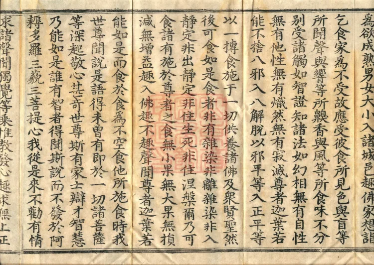 Sutra of the Immaculate Name (Six Volumes) Page 6