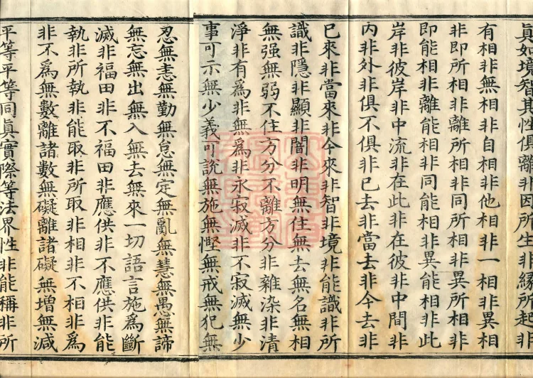 Sutra of the Immaculate Name (Six Volumes) Page 3