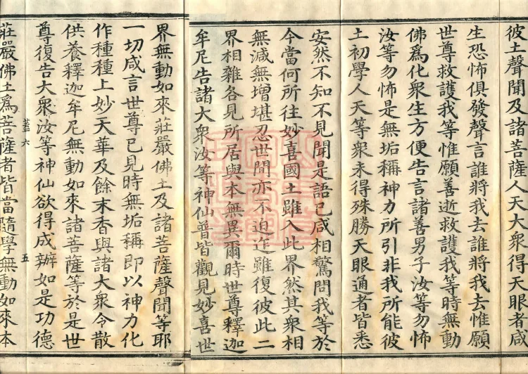 Sutra of the Immaculate Name (Six Volumes) Page 8