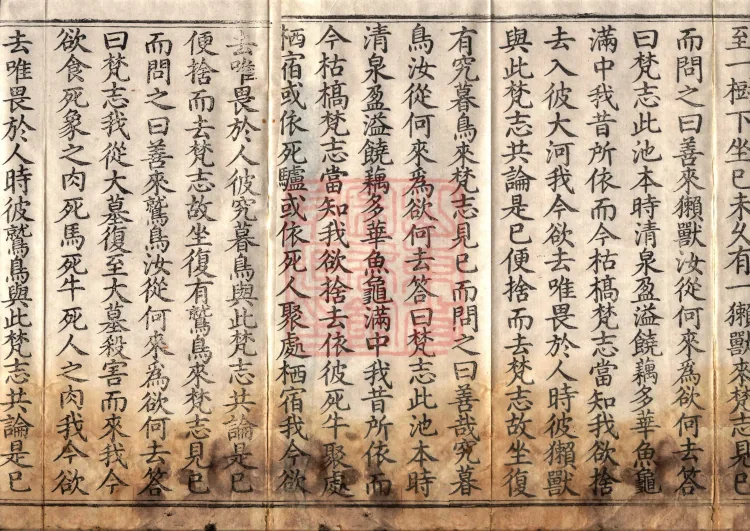 Middle Āgama Sutras, sixty juan Page 3