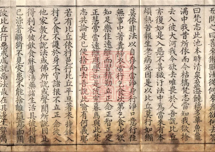 Middle Āgama Sutras, sixty juan Page 6