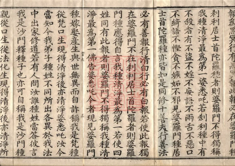 Buddha-Said Dīrgha Āgama, Twenty-two Volumes Page 5