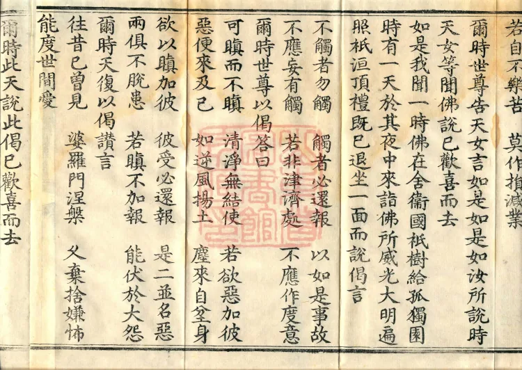 Alternate Translation of the Saṃyukta Āgama, Twenty Volumes Page 6