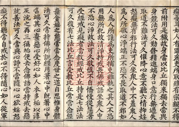 The Buddha’s Parinirvana Sutra — two volumes Page 8
