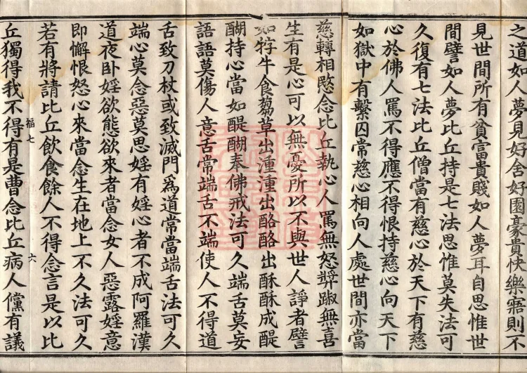 The Buddha’s Parinirvana Sutra — two volumes Page 10