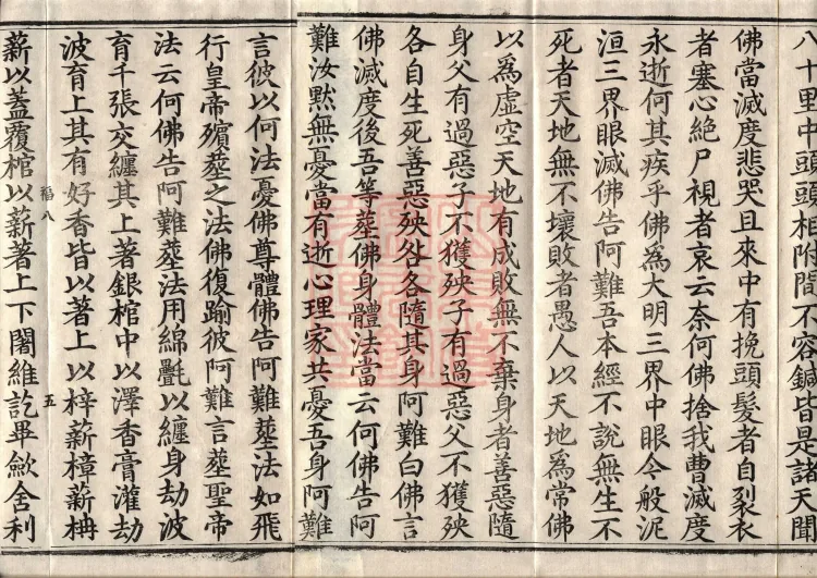 The Buddha’s Parinirvana Sutra — two volumes Page 8