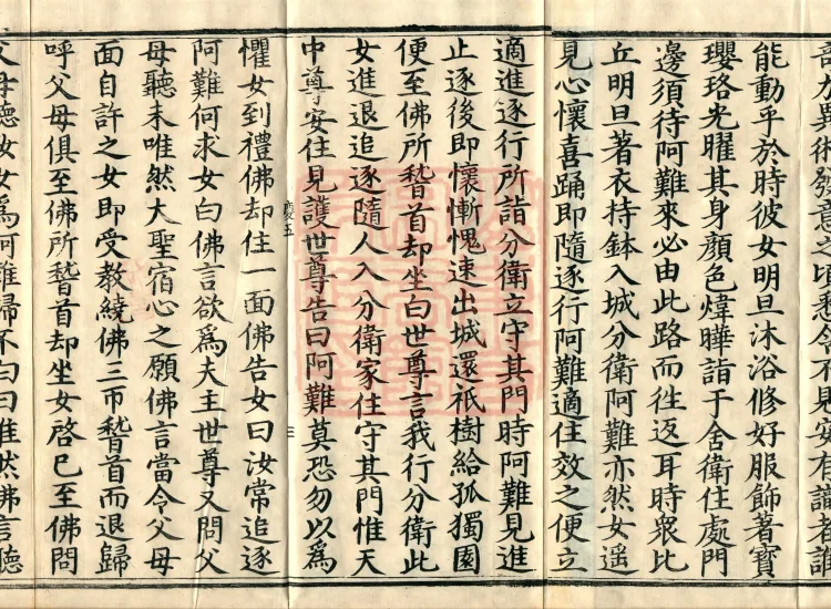 '舍头谏经' — one fascicle Page 5