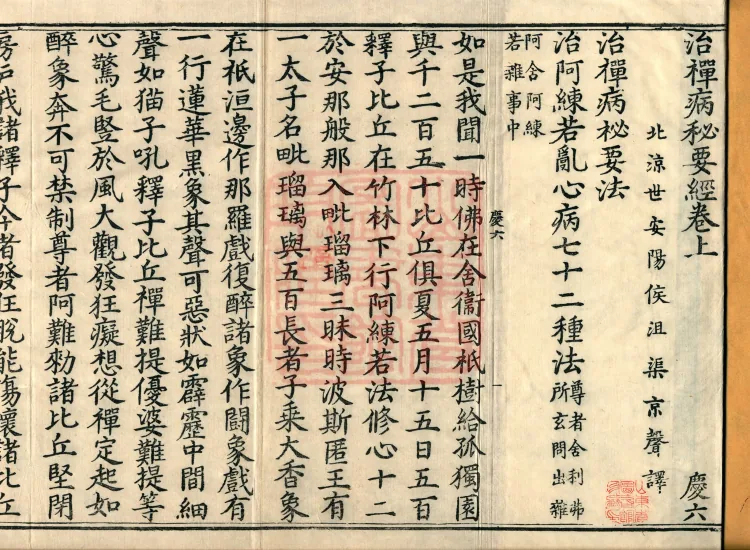 The Secret Essentials Sutra for Treating Meditation Ailments, two volumes Page 2
