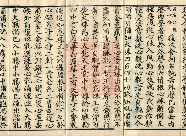 The Secret Essentials Sutra for Treating Meditation Ailments, two volumes Page 5