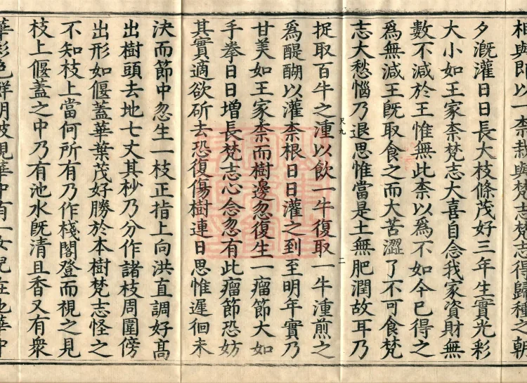 The Buddha Speaks: 奈女耆域因缘 Sutra, one fascicle Page 4