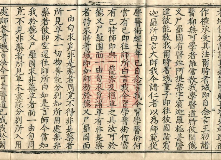 The Buddha Speaks: 奈女耆域因缘 Sutra, one fascicle Page 9