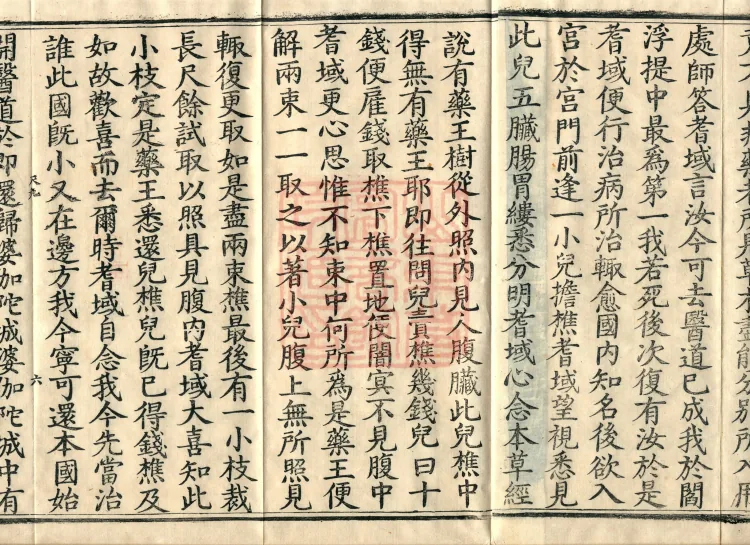 The Buddha Speaks: 奈女耆域因缘 Sutra, one fascicle Page 10