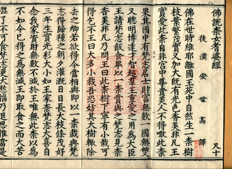 The Buddha Speaks: 奈女耆婆 Sutra, one fascicle Page 2