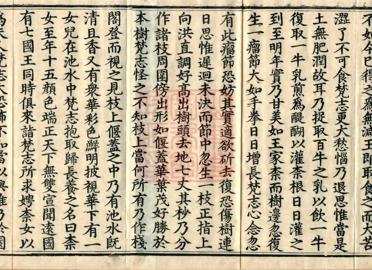 The Buddha Speaks: 奈女耆婆 Sutra, one fascicle Page 3