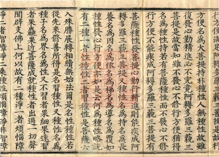 Bodhisattva's Ground-Holding Sūtra (eight volumes) Page 5
