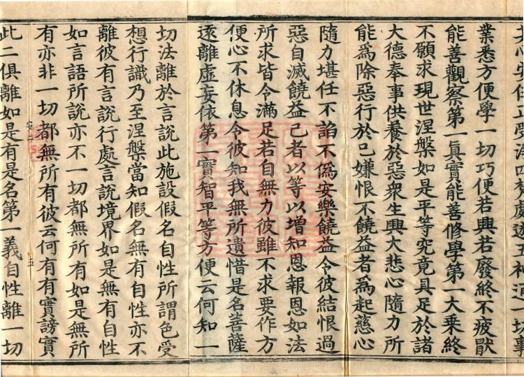 Bodhisattva's Ground-Holding Sūtra (eight volumes) Page 8