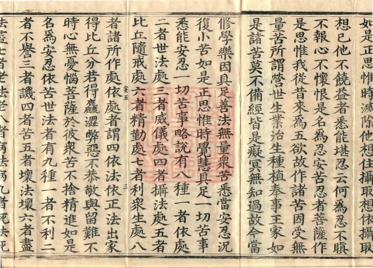 Bodhisattva's Ground-Holding Sūtra (eight volumes) Page 5
