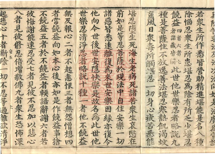 Bodhisattva's Ground-Holding Sūtra (eight volumes) Page 10