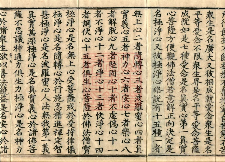 Bodhisattva's Ground-Holding Sūtra (eight volumes) Page 10