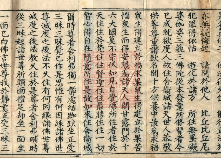 Mahāsanghika Vinaya in Forty Volumes Page 5