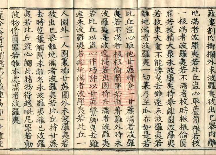 Mahāsanghika Vinaya in Forty Volumes Page 6