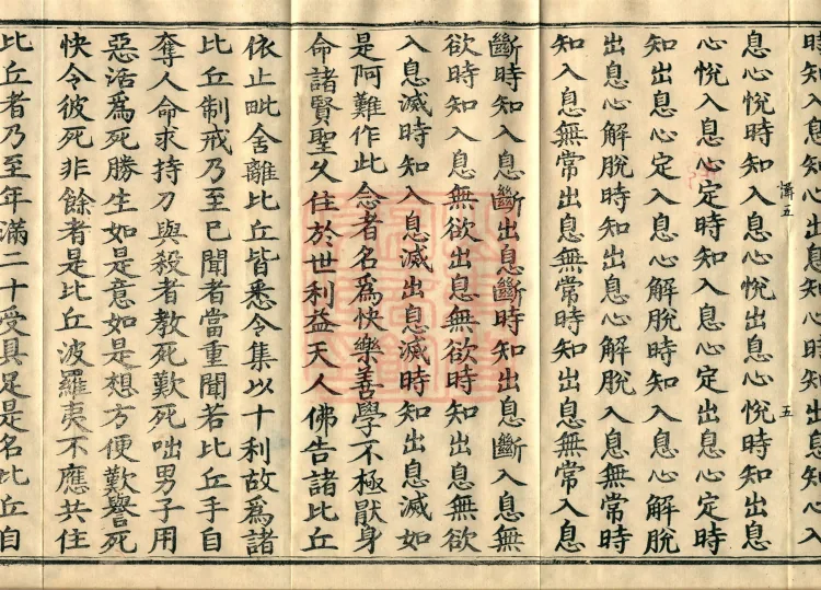 Mahāsanghika Vinaya in Forty Volumes Page 9