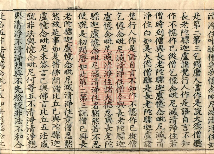 Mahāsanghika Vinaya in Forty Volumes Page 6