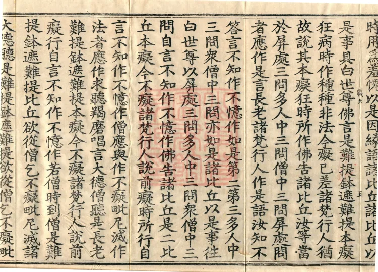 Mahāsanghika Vinaya in Forty Volumes Page 9