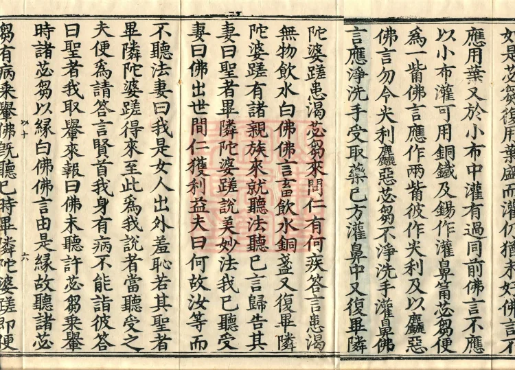 Fundamental Sarvāstivāda Vinaya Miscellany in Forty Volumes Page 10