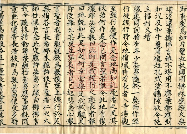 Fundamental Sarvāstivāda Vinaya Miscellany in Forty Volumes Page 5