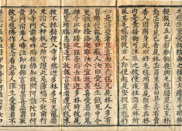 Fundamental Sarvāstivāda Vinaya Miscellany in Forty Volumes Page 5