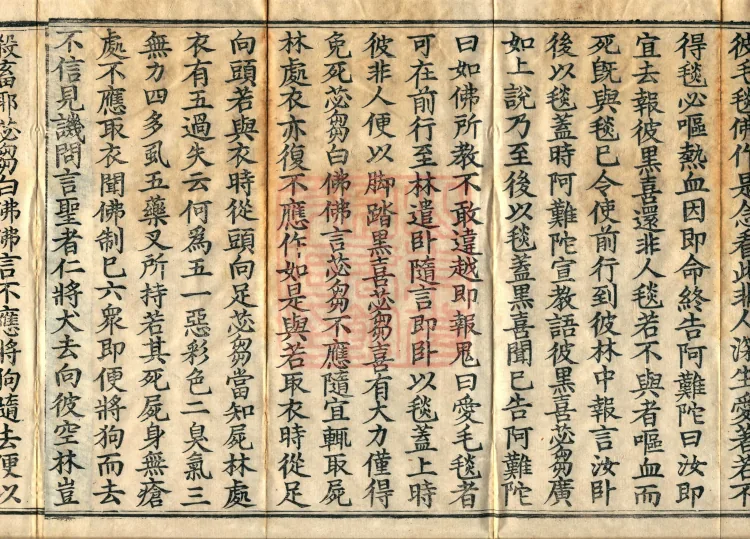Fundamental Sarvāstivāda Vinaya Miscellany in Forty Volumes Page 6